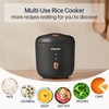 CHACEEF Mini Rice Cooker 2 Cups Uncooked, 1.2L Rice Cooker