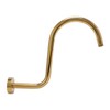 Stainless Steel S Shaped Raised Shower Arm and Flange NPT