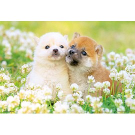 Beverly P33-205 300 Piece Jigsaw Puzzle, Hatsukoi Wanko 10.2 x 15.0 inches (26 x 38 cm), Made in Japan