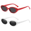 QYVEWY Retro Oval Sunglasses for Women Men Small 90s Trendy