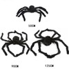 Halloween Spider Web Decoration