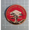 Unbranded The Future is Bright Nuclear Bomb Mushroom Cloud Embroidered