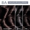 L'Oréal Paris L'Oreal Paris Oreolux Cream Natural Champagne Ash Brown