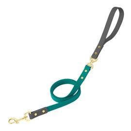 PetBonus No Tangle Waterproof Dog Leash, 5 FT Odor Proof Walking Training Lead, Non-Slip and Easy to Clean Puppy leashes for Small Medium Breeds Dogs (Grey & Turquoise, S)