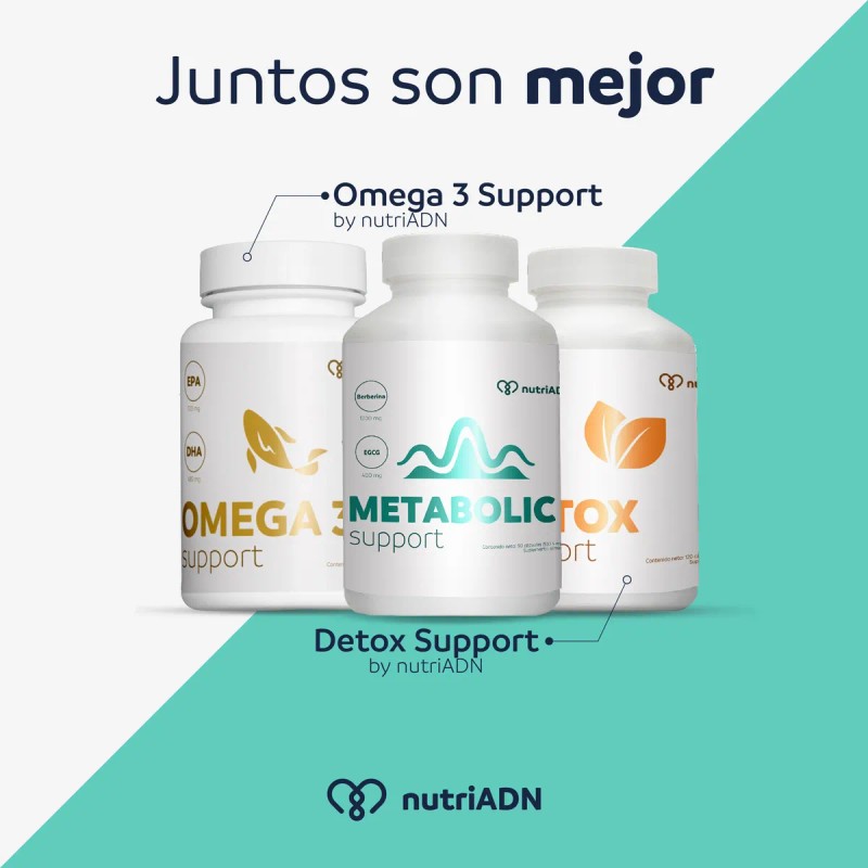 Berberina 60 Capsulas Metabolic Support Suplemento