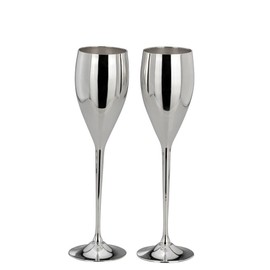 your castle Set of 2 Champagne Flutes Elegant Silver-Plated Champagne Flutes Silver Champagne Flutes