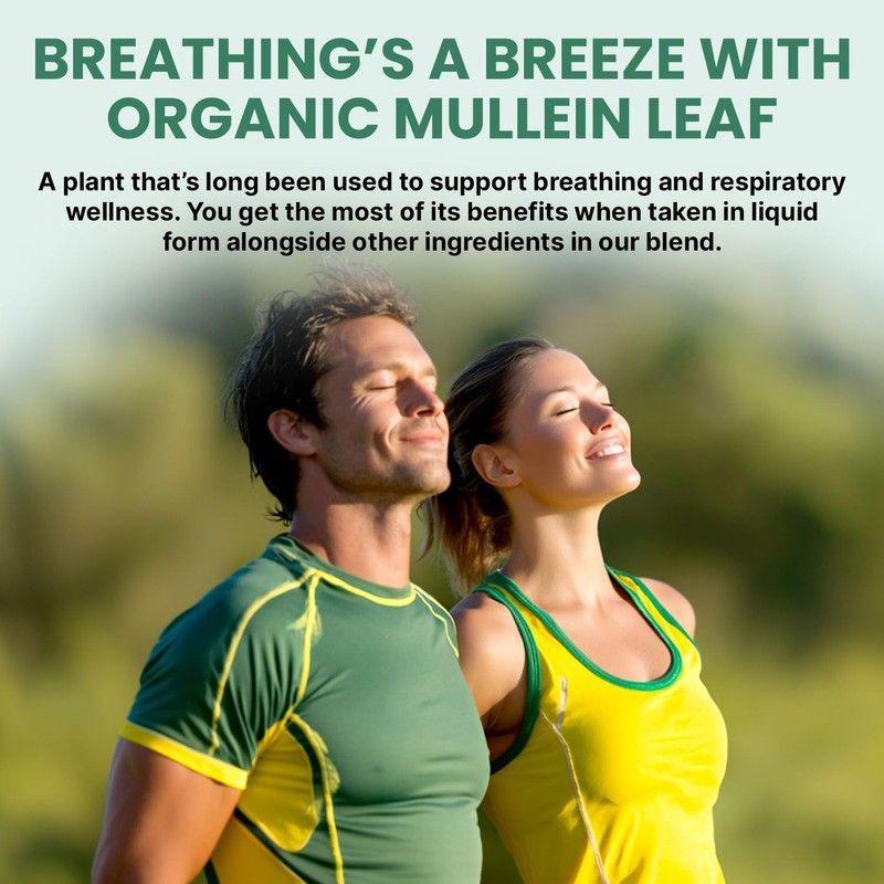 5-in-1 Mullein Drops for Lungs and Bronchial - Respiratory Lung