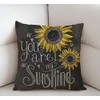 Swono You are My Sunshine Quote Throw Pillow Case Cushion