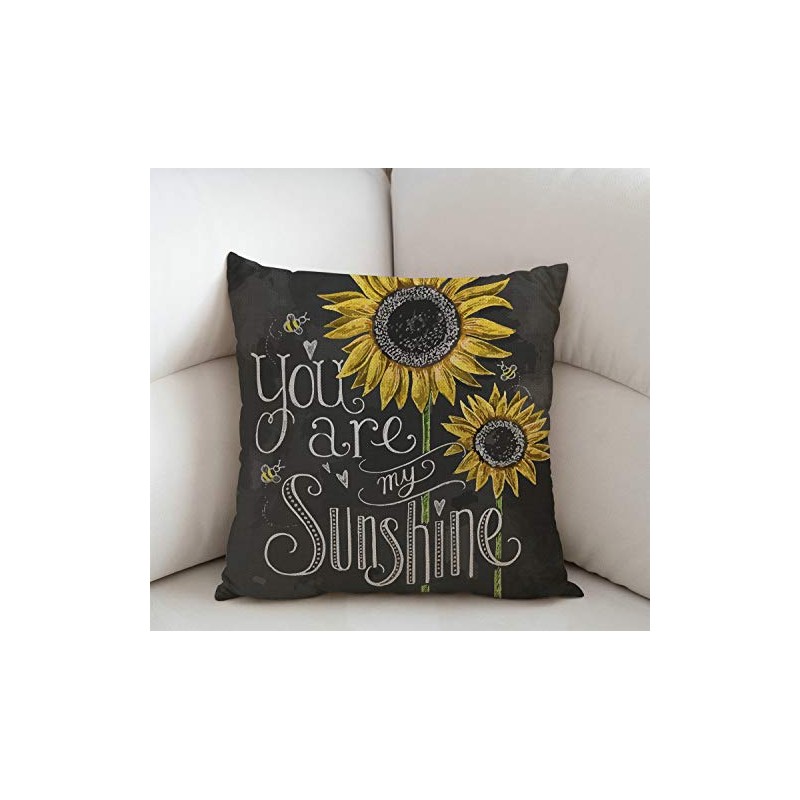 Swono You are My Sunshine Quote Throw Pillow Case Cushion