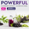 Elderberry 4:1 Extract Capsules (Non-GMO) Equivalent to 2,000mg Fresh Sambucus