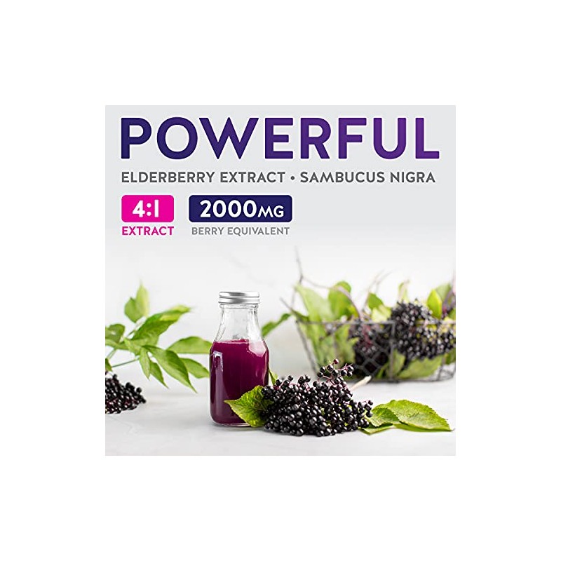 Elderberry 4:1 Extract Capsules (Non-GMO) Equivalent to 2,000mg Fresh Sambucus