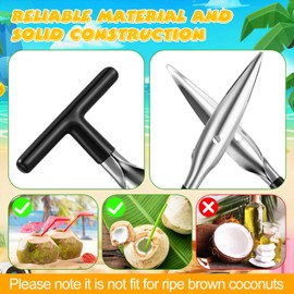 WILLBOND 4 Pcs Coconut Opener Tool Set Coconut Hole Tool Coco Nut Bottle Opener Stainless Steel Coconut Knife Tool for Young Green Fresh Coconut Water, Safe and Easy to Open Thai Hawaii Coconuts