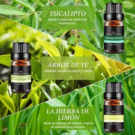 Aceites Esenciales de Aromaterapia 12PCS,100% Natural, para Difusores