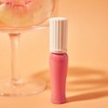 Paul & Joe Beaute Shade Lip Glossy Rouge Moist High