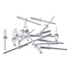 Blind Rivets 50PCS 304 Stainless Steel Strong Silver Pull Rivets