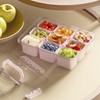 REBECAT Divided Serving Tray with Lid and Handles 9 Compartments