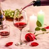 LONNEA Pourer Wine Pourer Wine Pourer Decanter Decantage Rapid Wine