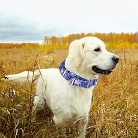 Martingale Collar for Dogs, Reflective Adjustable Soft Nylon Dog Collars with Boho Flower Patterns for Small Medium Large Dog (L)