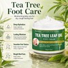 Tea Tree Foot Cream for Dry Rough Feet, Moisturizing Heel