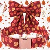 Maca Bates Fall Dog Collar with Sailor Bow Tie Autumn