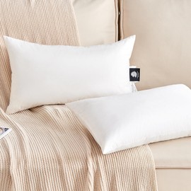 KUSNUG Organic Feather Down Lumbar Pillow Inserts (12x20 Inch, Set of 2) - 100% Cotton Shell, Filling of Feathers Down & Memory Foam, Rectangular Decorative Pillow Form Core for Couch, Sofa, and Bed