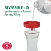 Perky-Pet 476 Glass 20-Ounce Hummingbird Feeder
