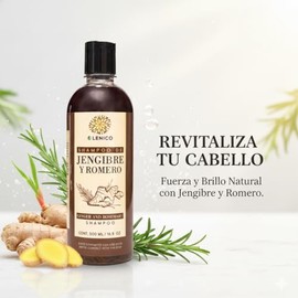 LENICO Shampoo de Jengibre y Romero para uso diario, cuidado capilar revitalizante con sensación de frescura, limpieza profunda del cuero cabelludo y 