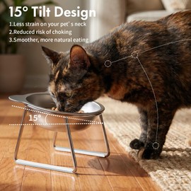 Elevated Cat Bowls with 15° Tilt, Whisker Friendly Raised Cat Food & Water Dishes with Silent Silicone Strip - Anti-Vomiting Small Dog Bowl, 304 Stainless Steel Bowl, Spine Friendly, Dishwasher Safe