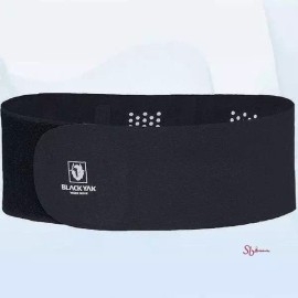 LMN 작업자용 허리 보호대lmn733 Back Support Belt for Workers Lmn733