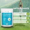 Biosuple Colágeno Hidrolizado Sin Sabor 300g + Té Matcha Vitamina