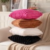 DEELAND Pack of 2,Double-Sided Faux Fur Plush Decorative Throw Pillow