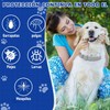 3Pcs Collar para Perro,Todo Natural Collar para Perro Impermeable y