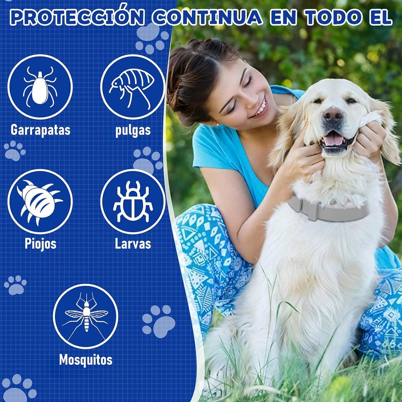 3Pcs Collar para Perro,Todo Natural Collar para Perro Impermeable y