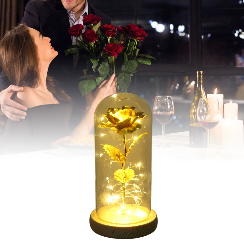 Rose in Glass Dome Lucky Beautiful Symbolism Romantic Enchanted Rose