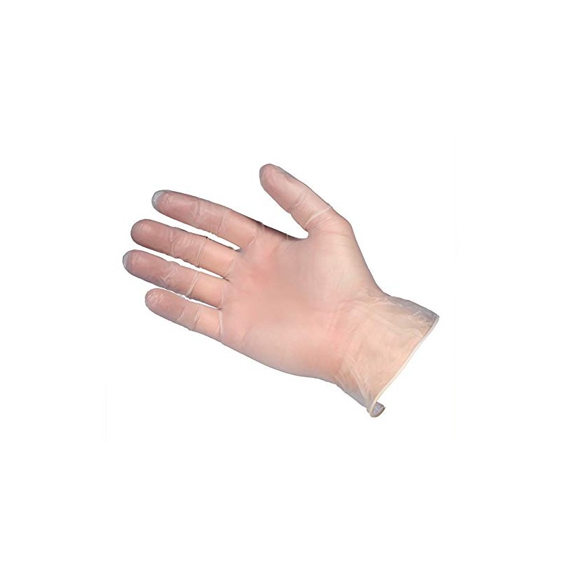 Gloves4u Powder Free Vinyl Gloves - Clear - Large (1