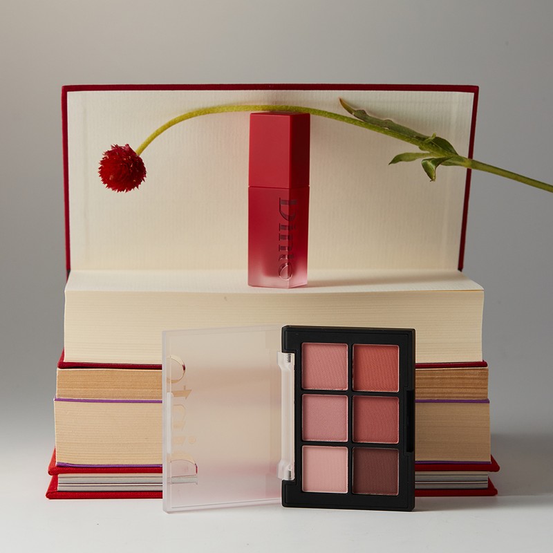 Dinto Blurring Lip Veil Tint 3.5g - 110 Chochou