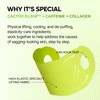Dr.Melaxin Cactox V-Lifting Mewing Band With Cactus Cooling Reduce Puffiness