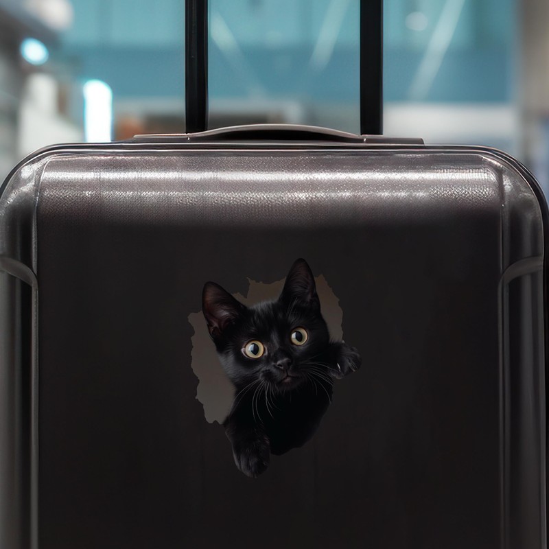 Black Cat Decal - Wall Hole Sticker with 3D Effect