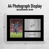 HWC Trading Joao Pedro Brighton & Hove Albion Gifts Printed