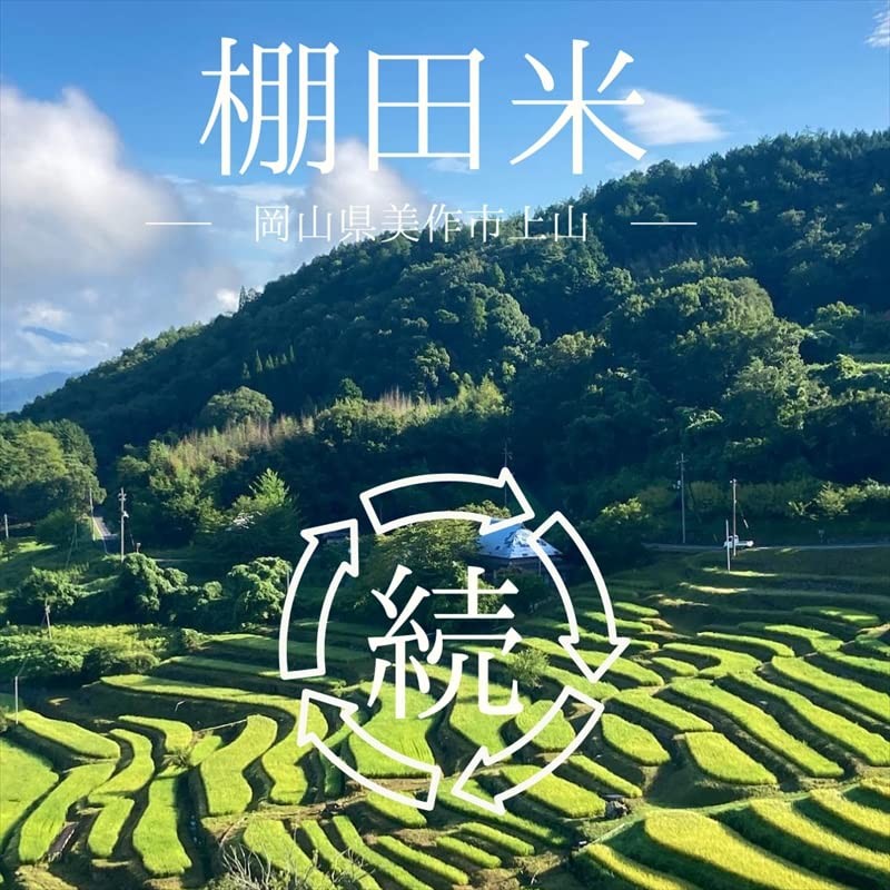 MEMORYZA Brown Rice Coffee Granule Type 3.5 oz (100 g)