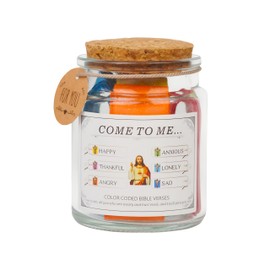 Bible Verse Jar, Color Coded Bible Verses in a Jar, Bible Jar, Jar of Bible Verses, Bible Verse Jar for Women, Christian Gifts for Women, Womens Gifts for Christmas, Bible Study Supplies(Black)