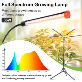 4Head Grow Lights for Indoor Plants, Seed Starting, Vegetables, Bonsai with Tripod Stand and Auto On/Off Timer 4/8/12H, 36W Power Full Spectrum Standing LED Plant Growing Lamps, 360° Gooseneck