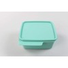 Tupperware Fridge 500 ml Mint Cool Corner Fresh Master Christmas