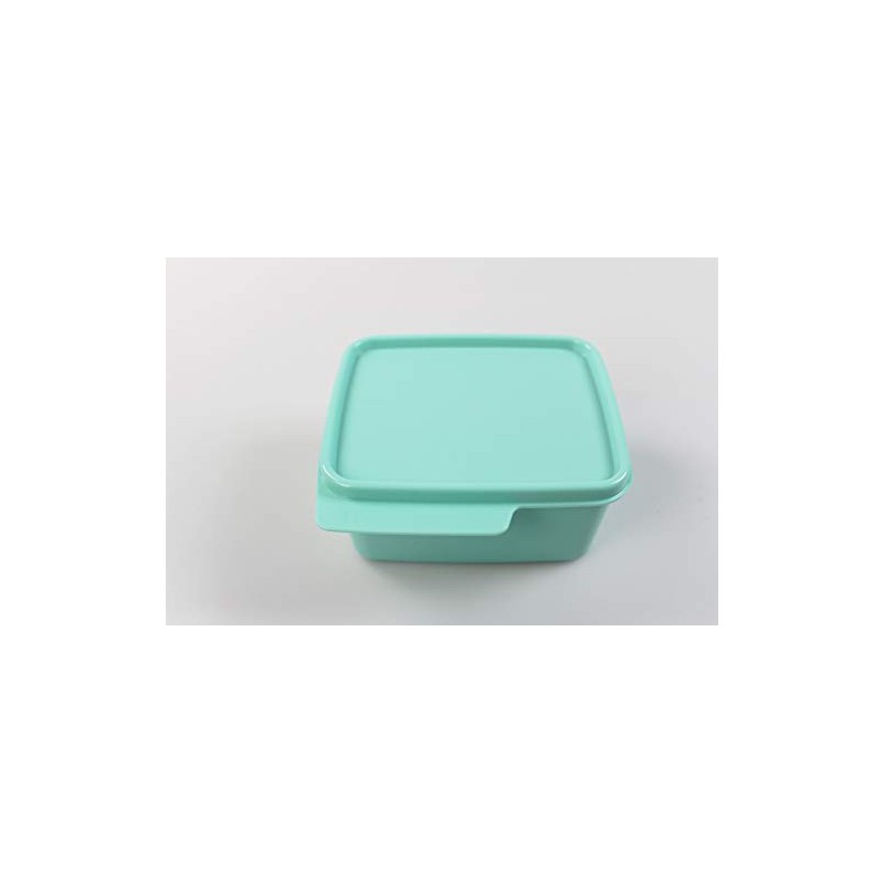 Tupperware Fridge 500 ml Mint Cool Corner Fresh Master Christmas
