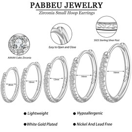 PABBEU Silver Hoops Earrings for Women S925 Sterling Silver Hoops Earrings with Cubic Zirconia Small Hoop Earrings Huggie Silver Sleeper Earrings for Women Girls 5Pairs