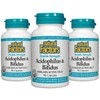 Bifidus/Probiotics/3PCS