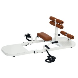 "Home Gym System Foldable Sissy Squat Machine White with Push up Stand & Multipurpose Glute Workout Equipment"Color: White Color