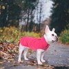 Dog Raincoat rain Jacket Poncho Great for Dog French English