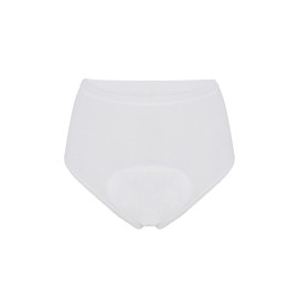 P&S Healthcare P&S Healthcare - Ladies Full Super Brief 3XL, 4XL, 5XL - Washable Incontinence Brief - White