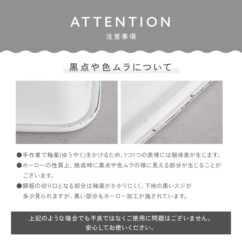 atRise Storage Container, Preserves Freshness and Tastiness with Airtight Lid,